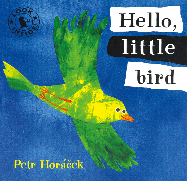 Hello, Little Bird